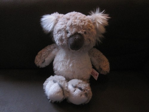 Nici koalabär joey koala - nici,