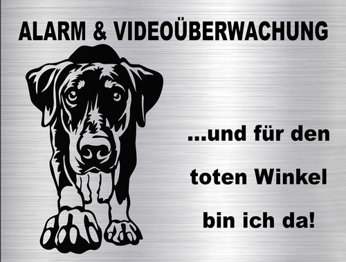 Dobermann hundewarnschild - dobermann,