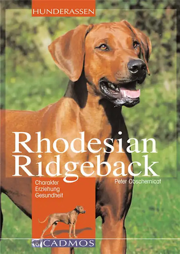 Rhodesian ridgeback - rhodesian,