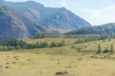 Wandbild: Sommeransicht von Altai, Russland. Altai Republic ist eine der [...]