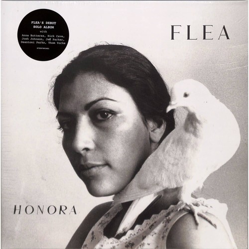 Flea honora nonesuch - flea, /