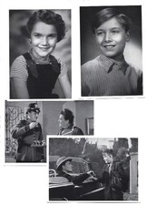 Y29473/ 61 Sammelbilder