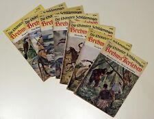 Die schönsten Schilderungen