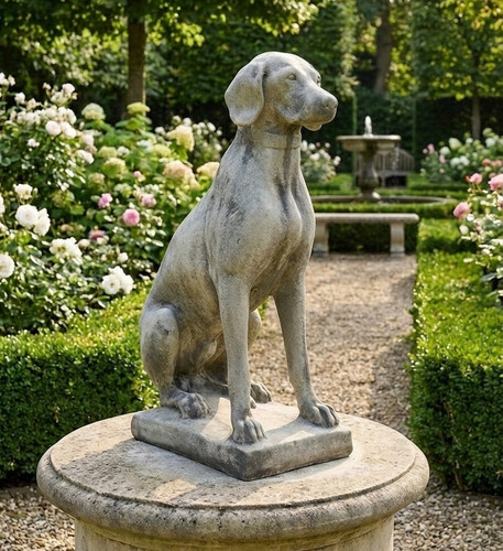 Weimaraner jagdhund pointer - weimaraner,