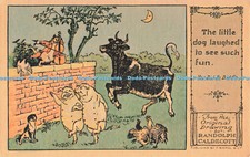 R682274 Der kleine Hund