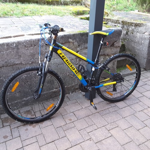 Mountainbike haibike rookie - mountainbike,