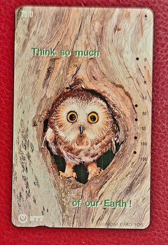 Japan eule owl - japan___eule,