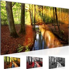Wandbild Wald Landschaft Bild