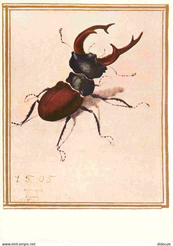Tiere insekten lucane - -,