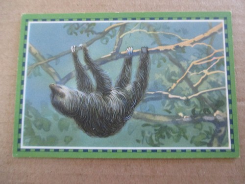 Bild chlorodont - 1.bild,