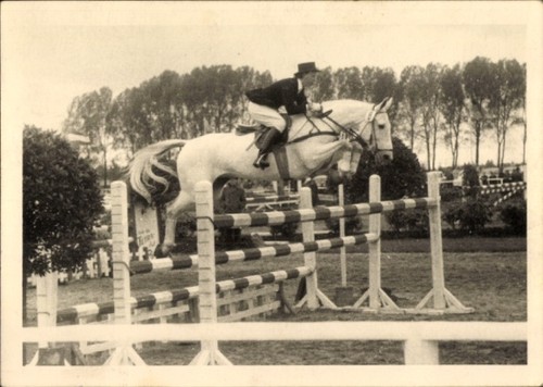 Foto pferdesport - foto,
