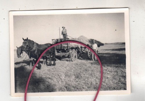 Photo foto pferdefuhrwerk - foto,