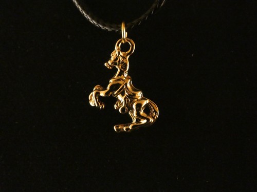 Pferd anhänger mit kette - pferd,