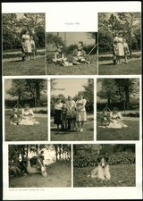 1963 - Collie Dog Puppy Dog