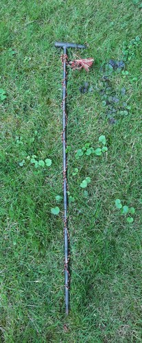 Gehstock spazerstock - gehstock,