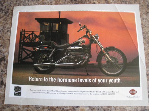 Harley davidson the - harley-davidson,