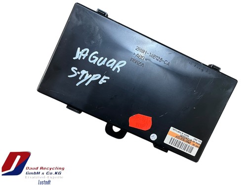Jaguar type - jaguar, s-type