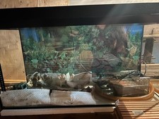 Aquarium kompl., 80x40x30 cm, ca. 100 L,top Zustand,viele Extras, super Angebot