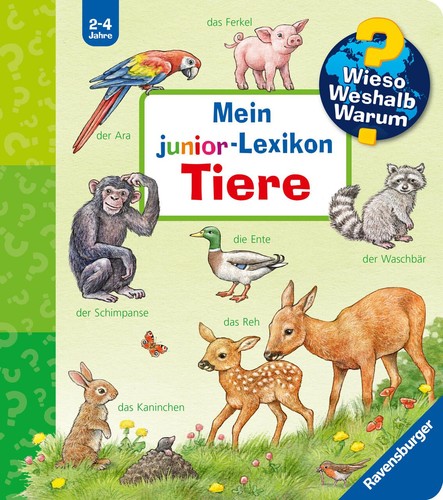 Wieso weshalb warum mein - wieso?, weshalb?
