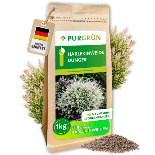 Purgrün harlekinweide - purgrün,
