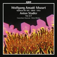 Wolfgang amadeus mozart - wolfgang,