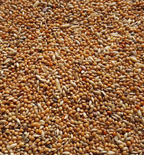 Wellensittichfutter 5 kg Vogelfutter Sittichfutter