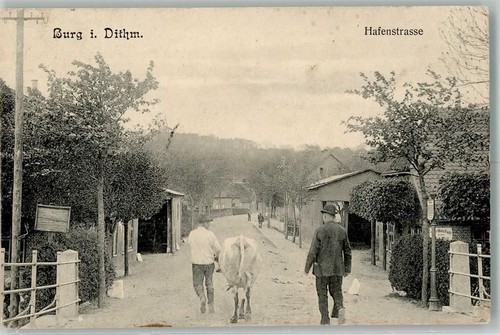 25712 w2224 burg dithmarschen - w2224,