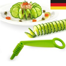 Spiral Rettich Schneider