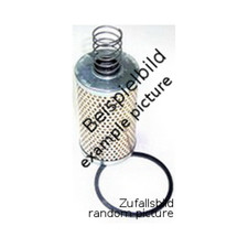 NEUSON 4500 Hydraulikfilter