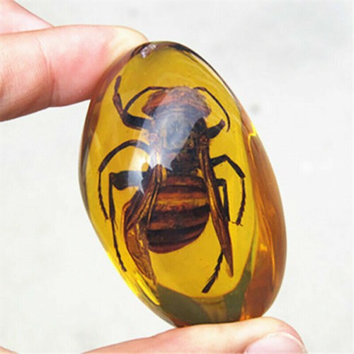 Bienen bernstein fossil - bienen,