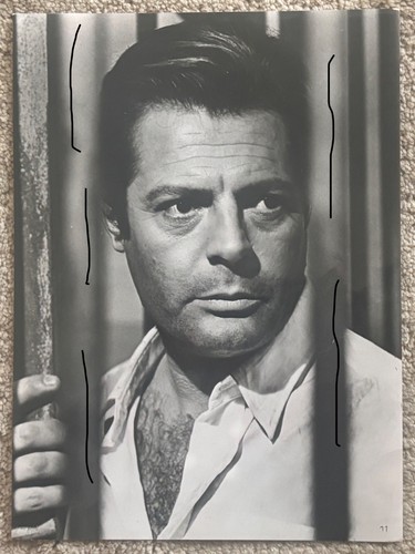 23x17 vintage archiv - vintage, foto