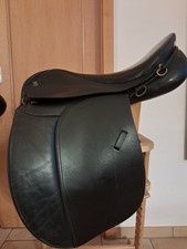 Massimo TÖLT  17,5 Zoll KW 32