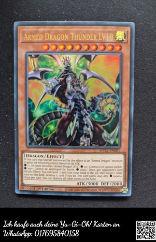 Bewaffneter drache donner lv10 - bewaffneter,