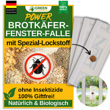3 bis 9x Fallen - Fenster