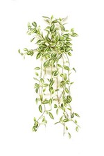 artplants Künstliche