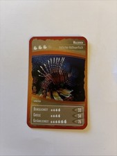 Ozeanien 7 - Schätze Unseres