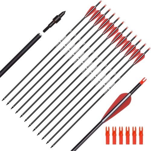 Pfeile carbon zoll 12 - pfeile, 31