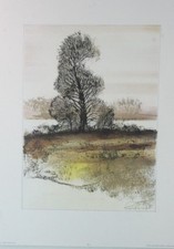 Ernst Peter Rade Einsamer Baum