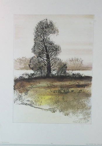 Ernst peter rade - rade, baum