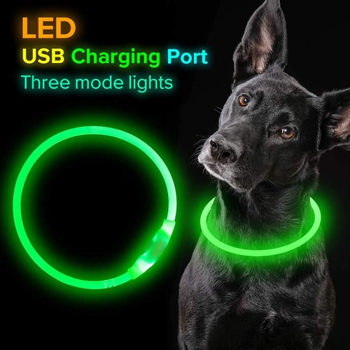 Led hundehalsband mit - led,