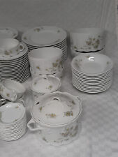 Rosenthal Monbijou Grüne Ranke Kaffee- und Speisservice 119 Teile