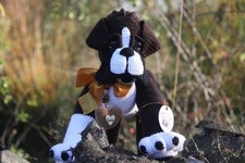 Hund Boxershorts gehäkelt