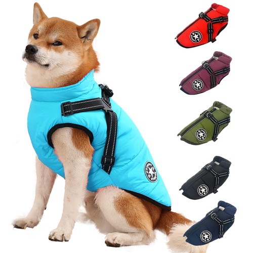 Hunde jacke mit geschirr - jacke,