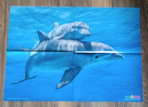 Tierposter große tümmler - tierposter,