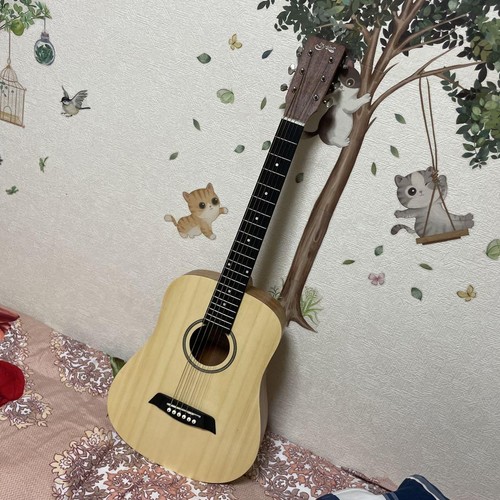 Akustikgitarre yairi ym - yairi, ym-02