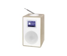 Terris DAB DAB+ Radio mit