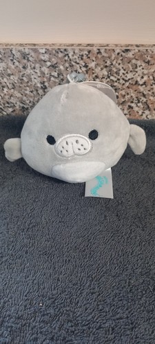 Squishmallow brandneu mit - brandneu,