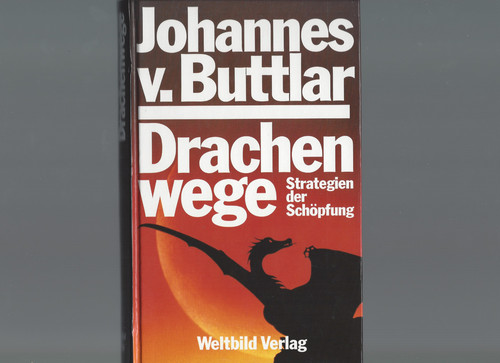 Drachenwege strategien der - (strategien,