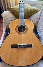 Einsteiger-Gitarre "Hohner