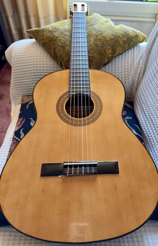 Einsteiger gitarre hohner - einsteiger-gitarre, "hohner